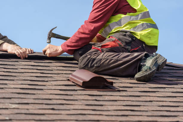 Best Roof Leak Repair  in Fort Meade, FL