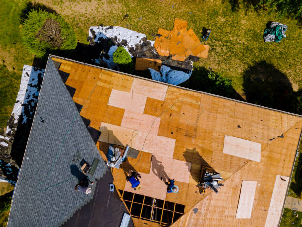 Roof Waterproofing Services in Fort Meade, FL